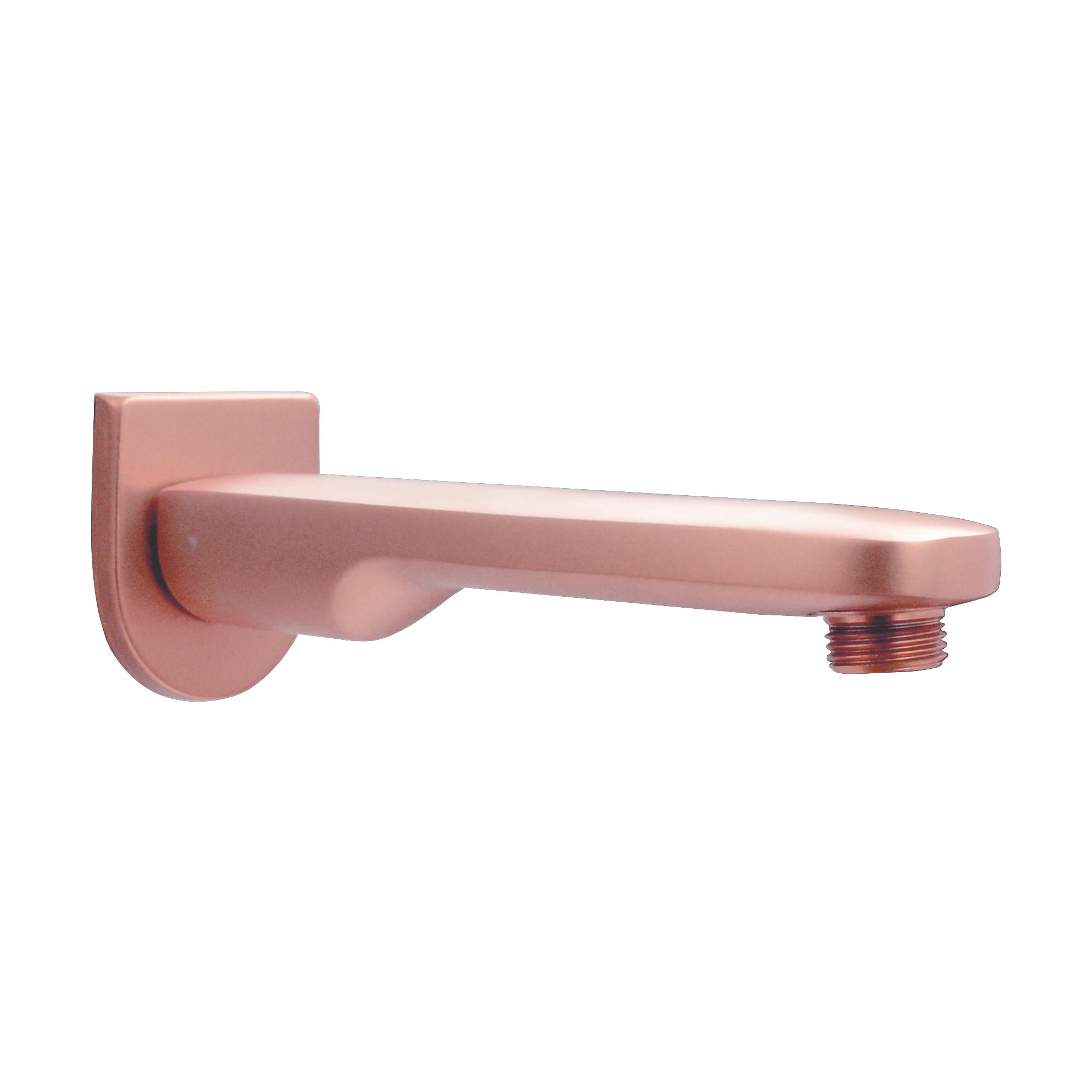 TF-SLXBRGOLD-1531 Shower Arm